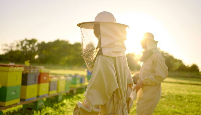 Ženy pre včely